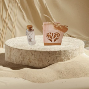 colgante con la inicial de plata de ley y circonitas alrededor de un botecito de cristal junto a una cajita sobre una plataforma