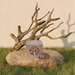 Pendientes con forma espiral sobre una piedra con una rama de fondo